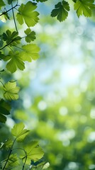 Fototapeta na wymiar tree branch with green leaves background