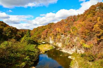 仙台市広瀬川の紅葉（宮城県）