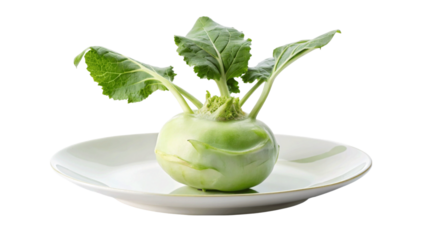 A cabbage turnip isolated on Transparent background.