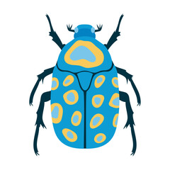 Vector flat illustration of blue beetle
