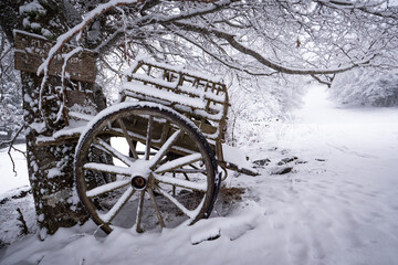 Fototapeta na wymiar Vintage wooden carriage under snow in forest, High quality photo
