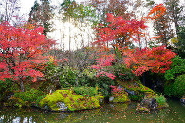 定義山西方寺の紅葉（宮城県）