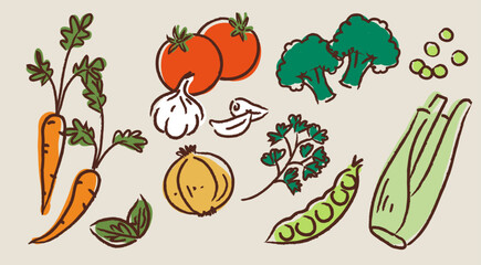 Hand made vegetable illustration set