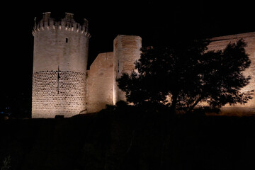 Majestic Castle Walls