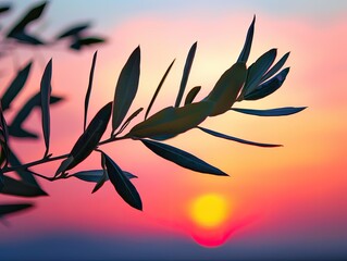 Olive branch against a vibrant sunset
