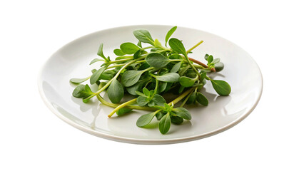 Purslane raw with slice isolated on Transparent background.