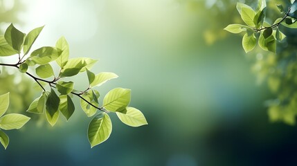 tree branch with green leaves background