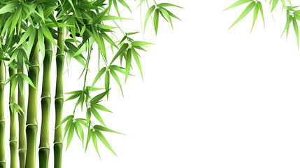 Bamboo plants with lush green leaves against a white background, creating a serene and natural ambiance.  generative ai