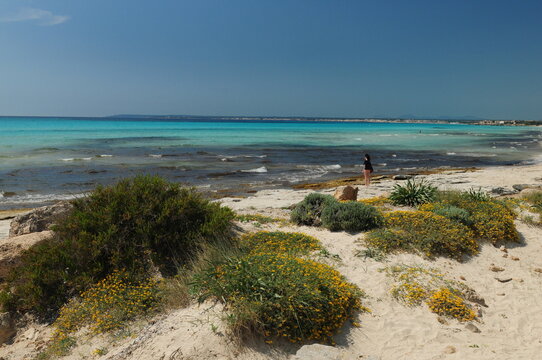 Woman Watching The Sea On The Beach Platja Des Trenc Mallorca On A Wonderful Sunny Spring Day With A Clear Blue Sky