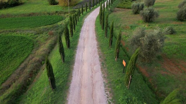 Italy, romantic Tuscany scenery with typical cypresses road  .famous region Val d'Orcia. aerial drone video over sunset
