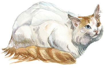 cat watercolor vector illustration 