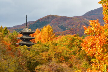 紅葉と定義山西方寺五重塔（宮城県）