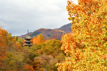 Obraz premium 紅葉と定義山西方寺五重塔（宮城県）