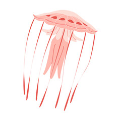 Obraz na płótnie Canvas Cartoon Pink jellyfish flat style. Medusa vector illustration. Modern flat illustration Jellyfish isolated on white background. Vector illustration