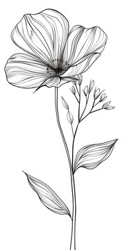 drawing of flowers for coloring book