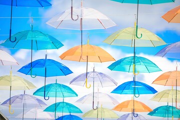 Obraz premium アンブレラフラワーと夏の空