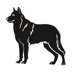 Fototapeta premium Siberian Husky Silhouette