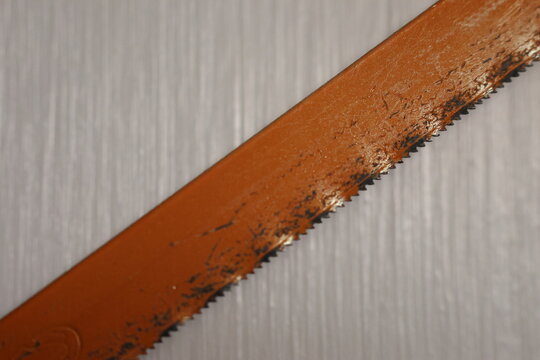 An orange hacksaw leaf lying diagonally over the otherwise white image.