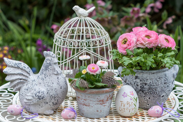 Oster-Gartendekoration mit Osterhuhn, pink Bellis perennis und Ranunkel in vintage Töpfen