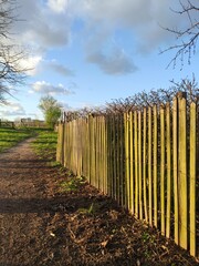 Longer une barrière en bois ou une grille de fer métallique, avec de la végétation passant à...