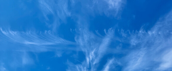 Panorama of the beautiful blue sky and feathery white clouds - obrazy, fototapety, plakaty