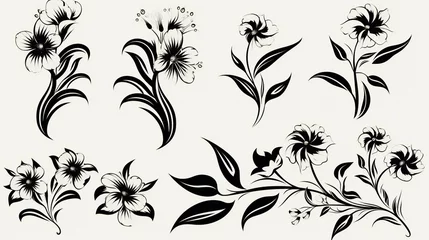 Foto op Canvas set of black vector illustration of flower © Amena