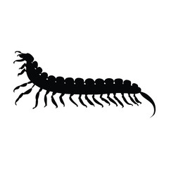 Obraz premium Centipede Silhouette