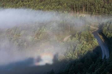 Route dans la brume en Norvège
