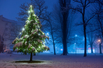 A christmas tree with lights in a park. Winter night scene.