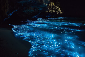 The ocean is lit up with blue lights, creating a serene and calming atmosphere - Powered by Adobe