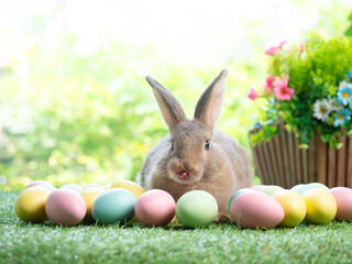 Gray rabbit sitting  with easter eggs on green grass and green nature background.