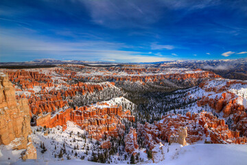 Transformation At Bryce Canyon