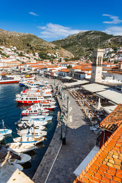 Hydra Habor