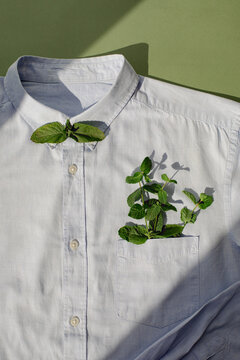 shirt decorated with mint leaves