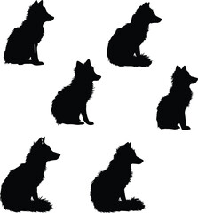 Black Fox silhouette on white background	
