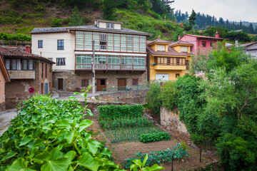 Cangas de Narcea, typical rural houses with vegetable gardens