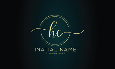 Initial logo handwriting logo signature logo design vector template
