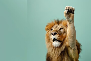 funny surprised lion raising hand