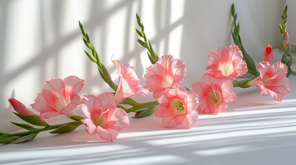   A collection of pink blooms arranged together on a windowsill before a pristine white backdrop