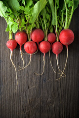 Red radishes freshly picked from the garden - 770919119