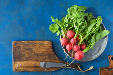 Red radishes freshly picked from the garden - 770919128