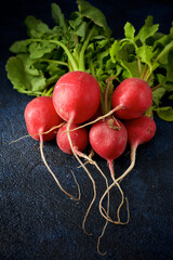 Red radishes freshly picked from the garden - 770919137