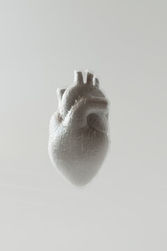 human heart
