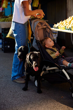 Family shopping at the market