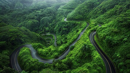 A captivating bird's-eye view of a graceful road winding through a lush green forest during the rain season, creating a mesmerizing visual spectacle.