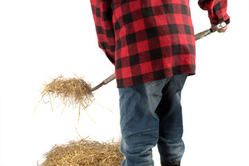 an unidentified farmer in a red plaid shirt with a pitch fork full of straw isolated on white