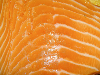 Macro view of a salmon fillet