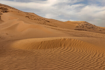 Sand dune in the Negev desert. - obrazy, fototapety, plakaty