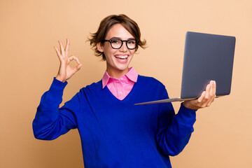 Portrait of charming positive recruiter lady hold wireless laptop demonstrate okey symbol isolated...