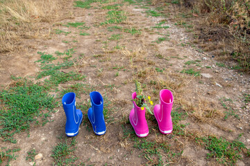 Pink and blue rubber boots in the field.